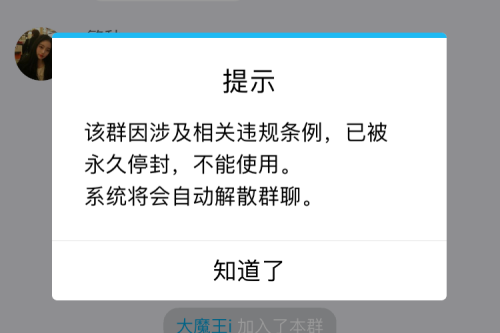 相关蓝鲸群已被永久停封。手机截图