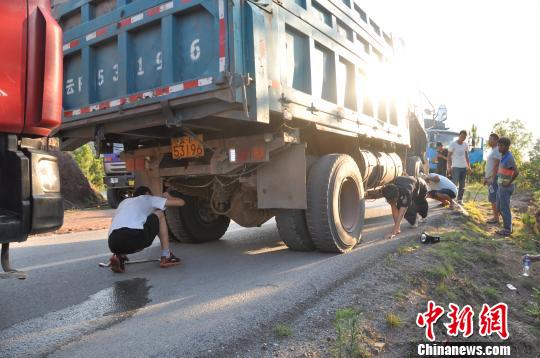 图为抓捕眼镜王蛇。　易经国 摄