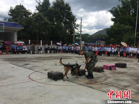 图为警犬进行行李箱搜毒表演。　崔汶 摄