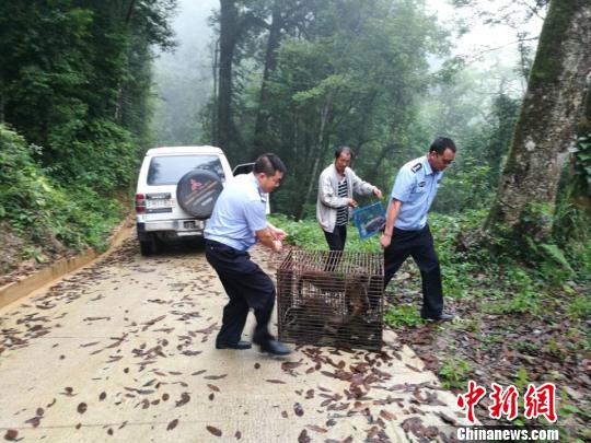 图为民警在陈某家查获的国家“三有”保护动物。　钟欣 摄